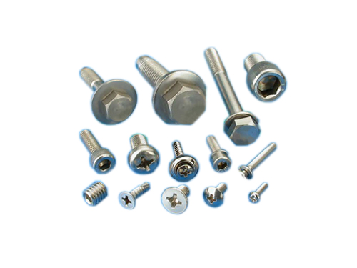 Stainless Steel Screws