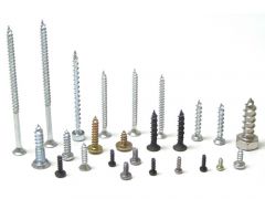 Self Tapping Screws
