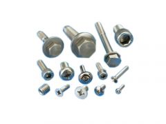 Stainless Steel Screws